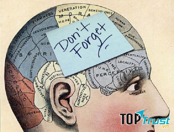 Việt quất hạn chế tình trạng bệnh Alzheimer ở người cao tuổi