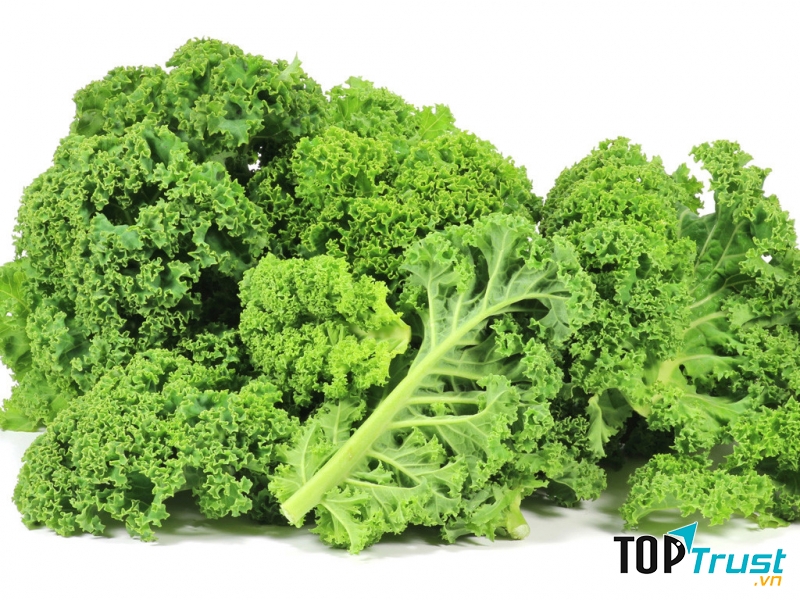 Cải xoăn tốt cho hệ tiêu hóa, thanh lọc cơ thể