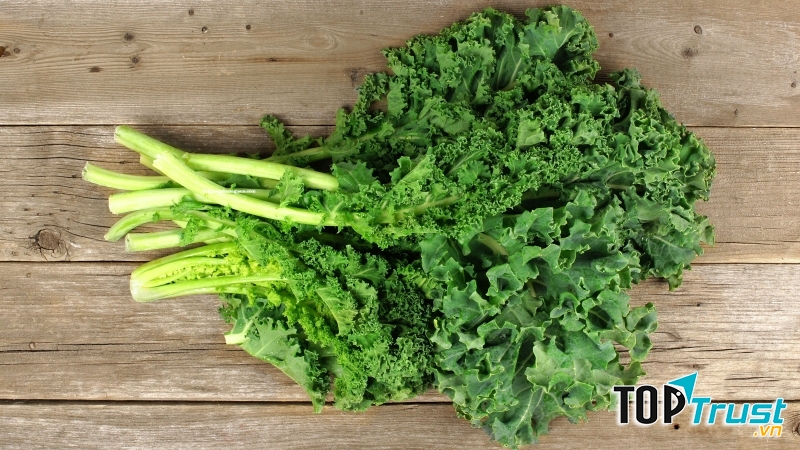 cải xoăn còn kết hợp với axit mật trong đường tiêu hóa, giúp làm giảm cholesterol trong cơ thể, do đó sẽ bảo vệ tim luôn khỏe mạnh.