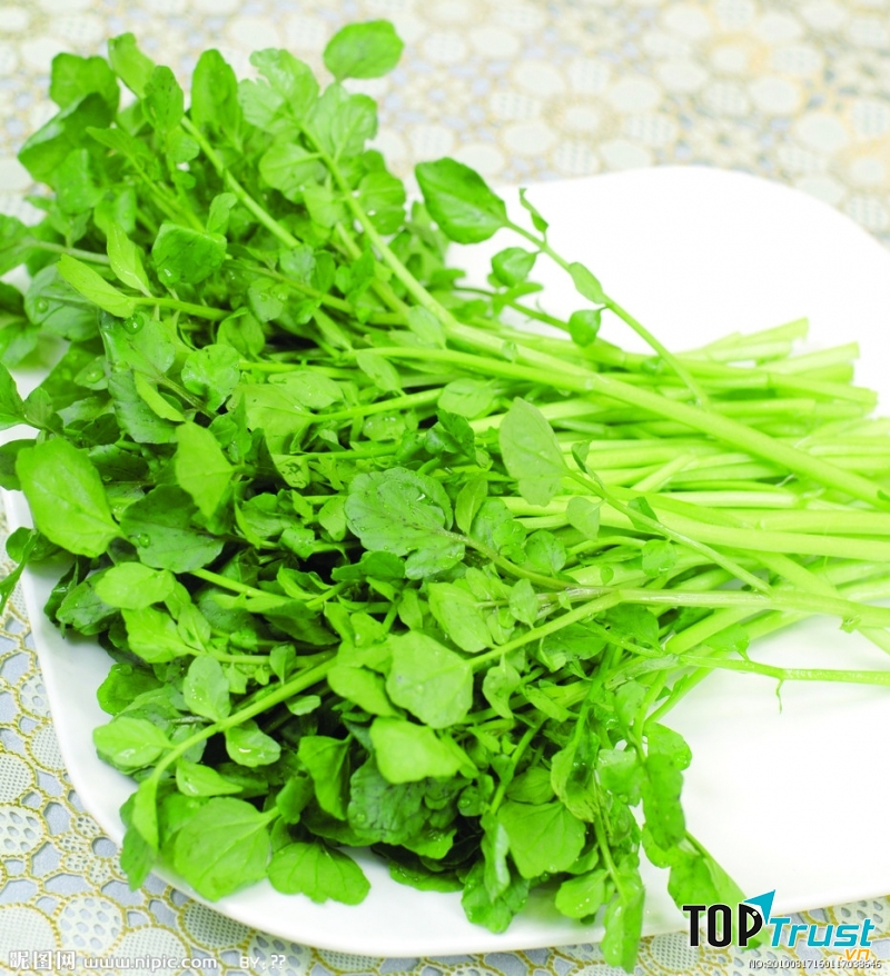 Cải xoong