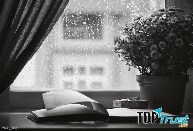 Ảnh minh họa ( nguồn: Internet)