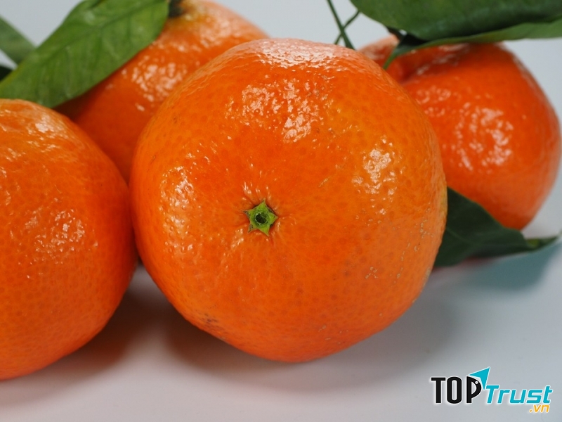 Quýt ngọt đầu mùa