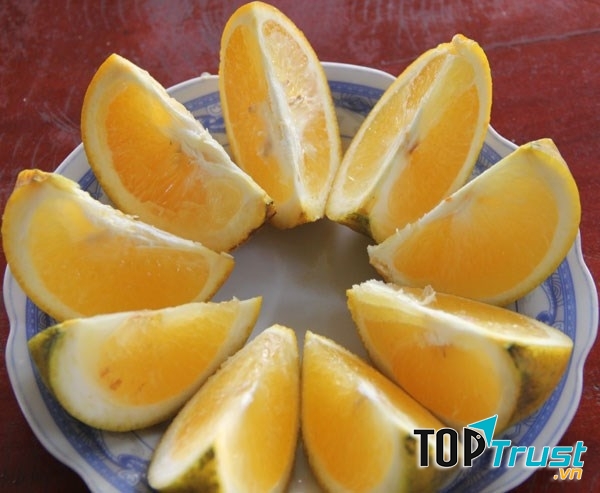 Cam xã Đoài nước cam vàng ngọt như mật
