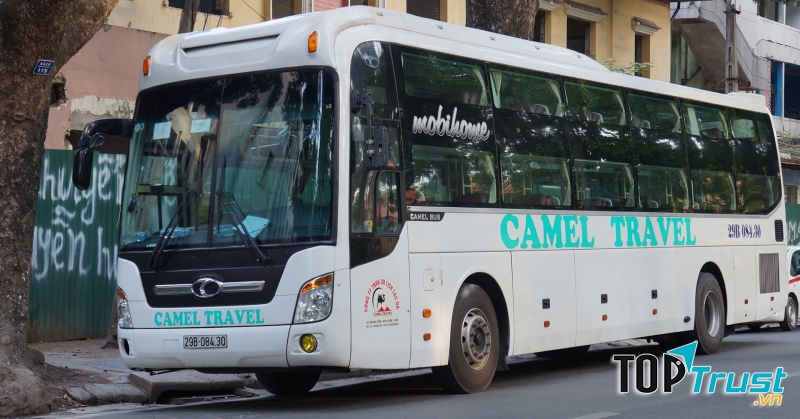 Xe Camel Travel