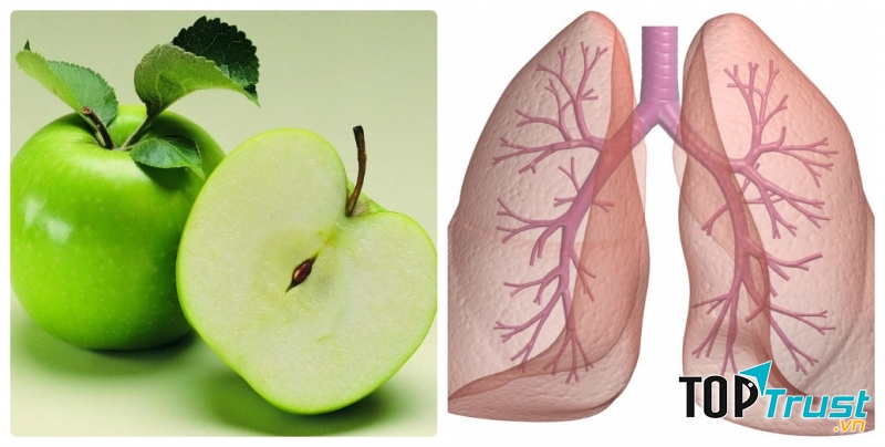 Cân bằng sức khỏe phổi