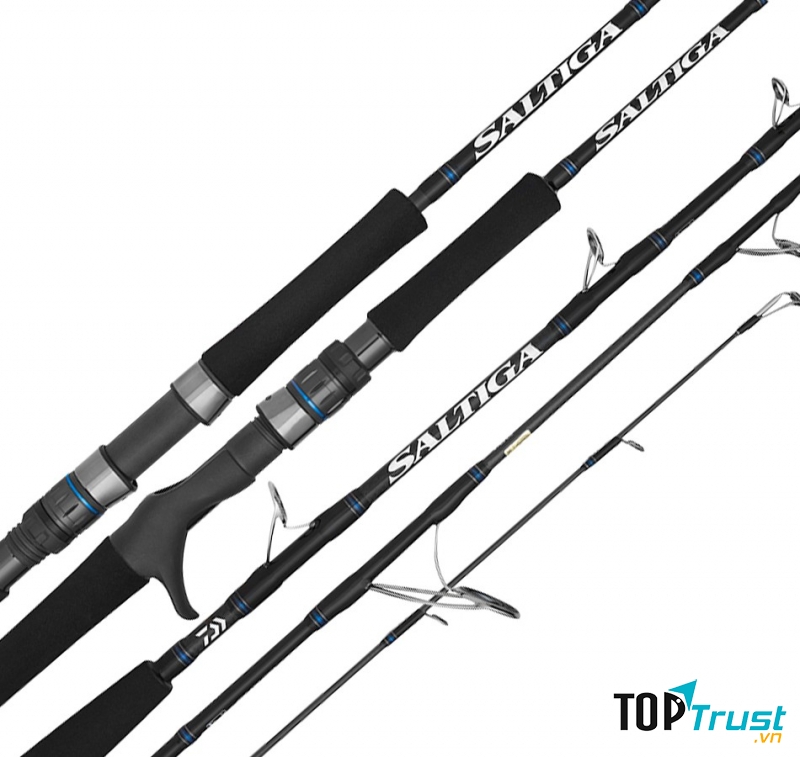 Cần câu cá Daiwa Saltiga C71MLS (3 KHÚC)