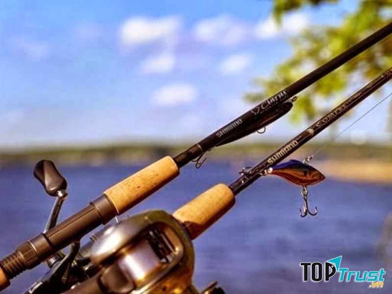 Cần câu shimano Nhật