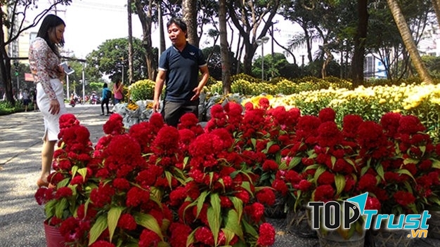 Trao đổi với người có kinh nghiệm