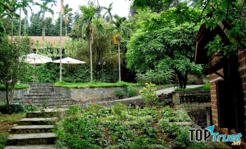 Hình minh họa