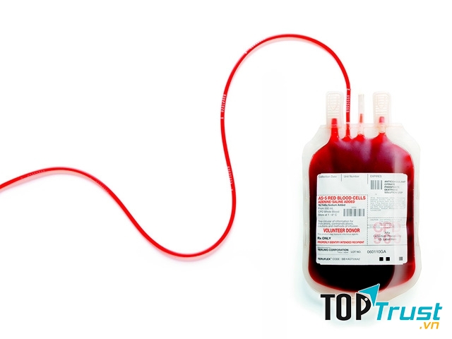 Tuân thủ các thủ tục khi trao đổi máu để phòng bệnh xã hội