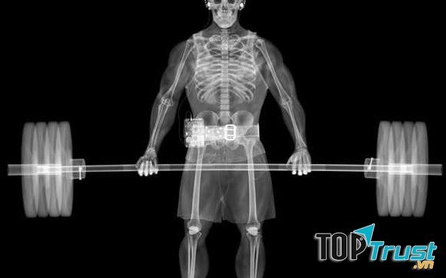 Càng lớn số lượng xương chúng ta càng ít lại