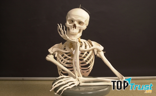 Càng lớn số lượng xương chúng ta càng ít lại