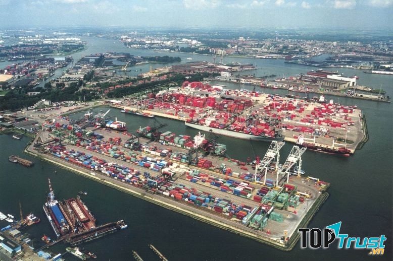 Cảng Rotterdam rất nhộn nhịp