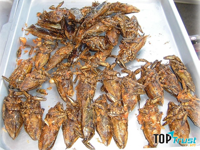 Canh bọ (Bangladesh)