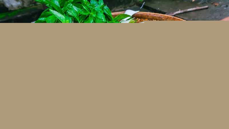 Canh chua cá rô nấu hoa so đũa