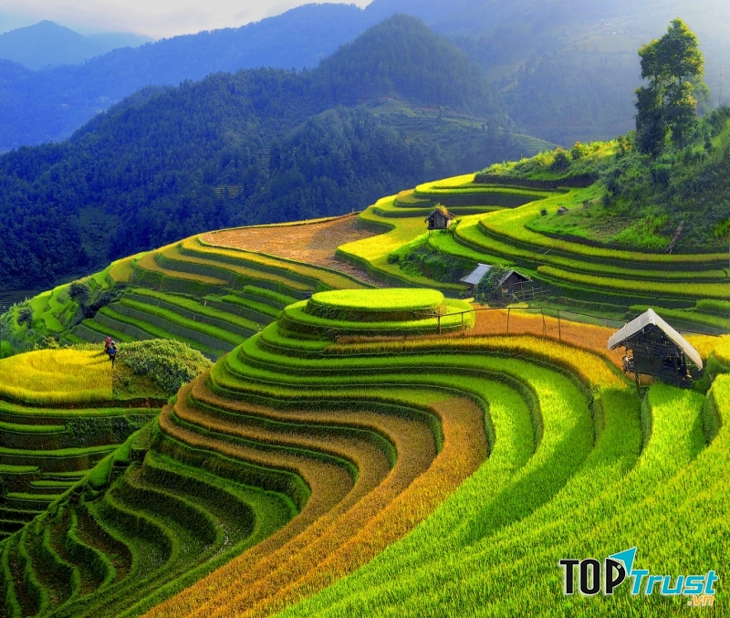 Vẻ đẹp mê đắm của ruộng bậc thang ở Sapa
