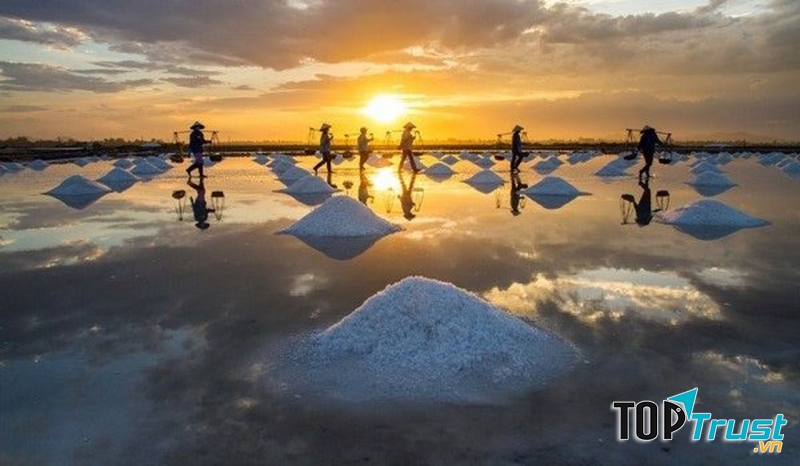 Cánh đồng muối Bạc Liêu