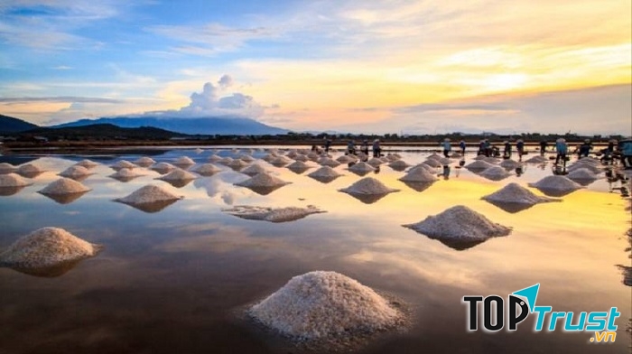 Cánh đồng muối Bạc Liêu