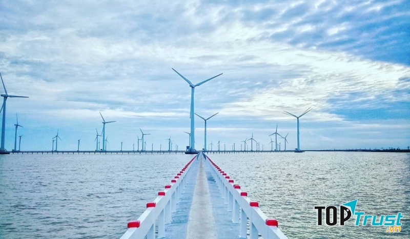 Cánh đồng quạt gió Bạc Liêu