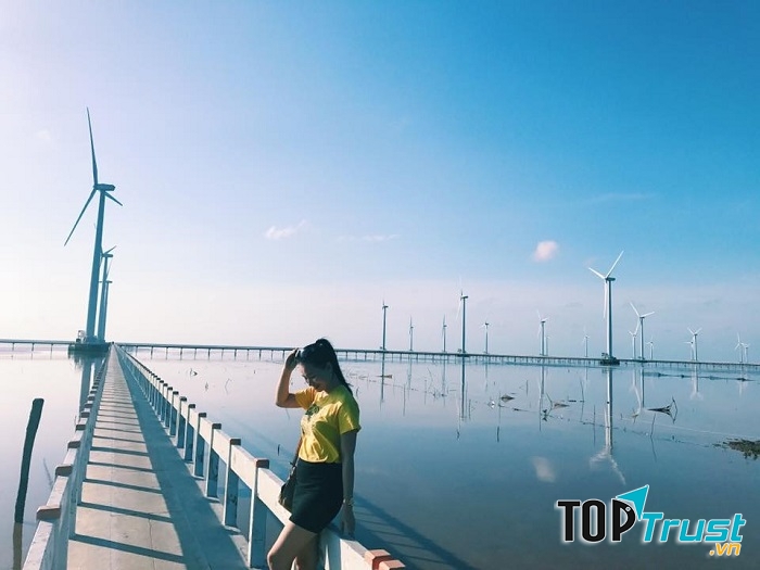 Cánh đồng quạt gió