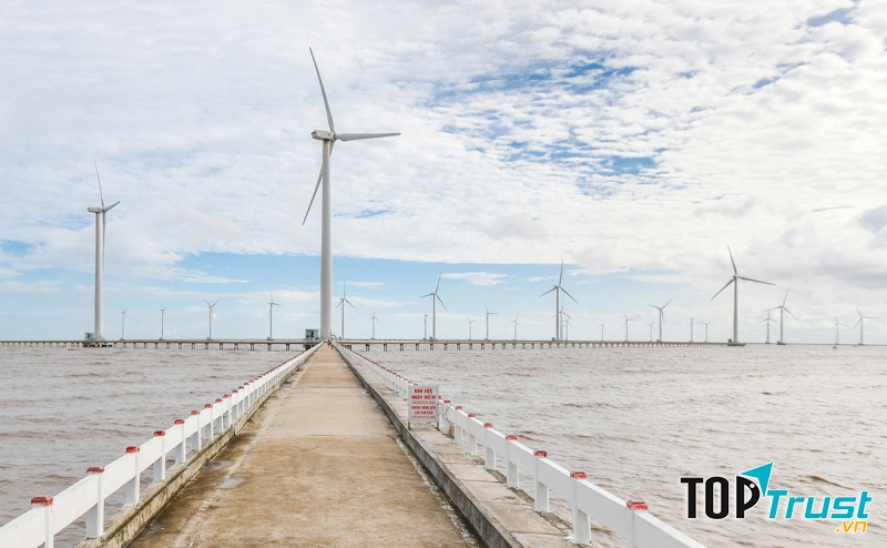 Cánh đồng quạt gió