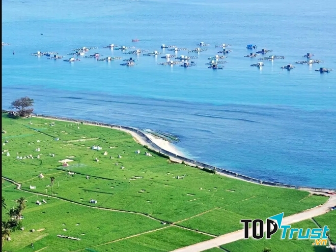 Đắm mình trong thiên nhiên, màu xanh của đồng tỏi, xanh của biển