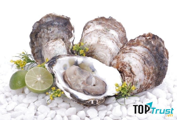 Canh hầu cảu thảo