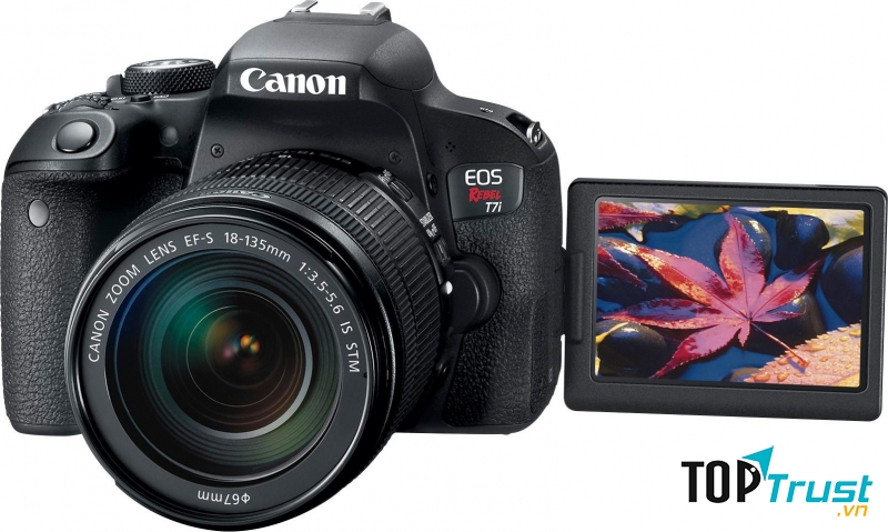 Canon EOS Rebel T7i / Canon EOS 800D