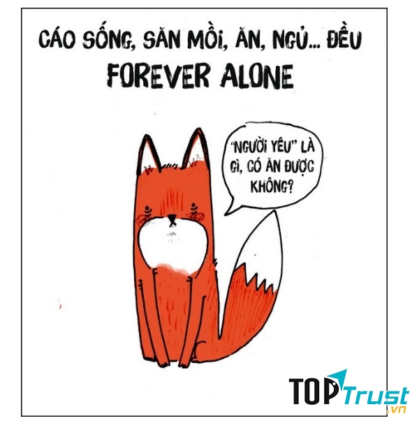 Cáo thích sống và làm việc một mình