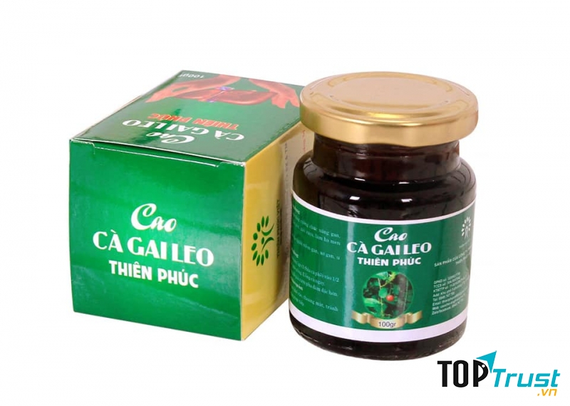 Cao Cà Gai Leo - Công ty TNHH Thiên Phúc Việt