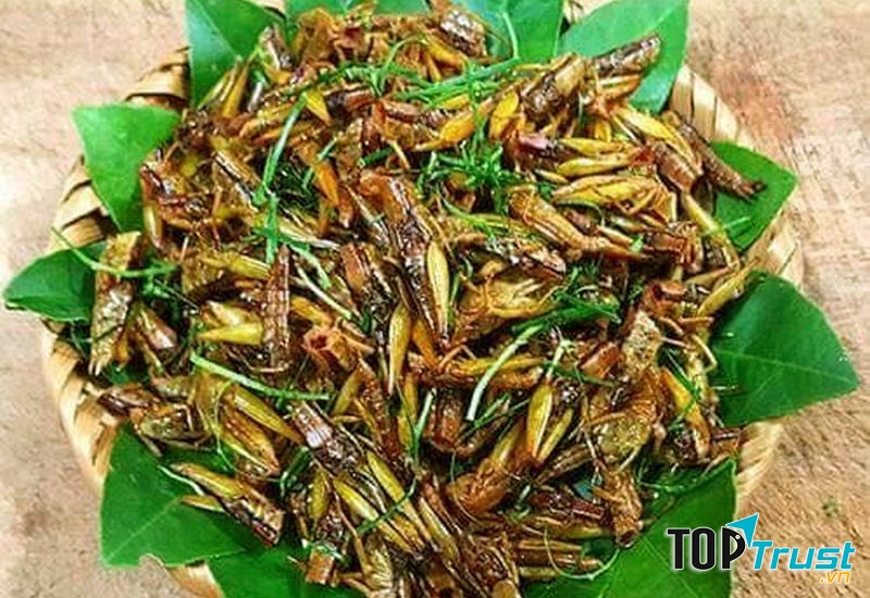 Cào cào rang lá chanh