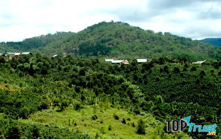 Đây là một trong những vùng giàu tiềm năng du lịch của Việt Nam
