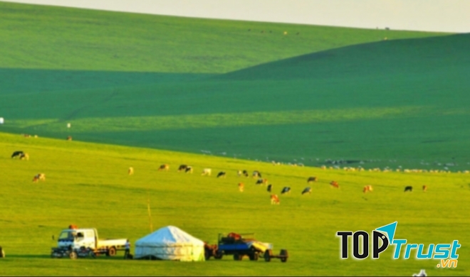 Cao nguyên Hulun Buir