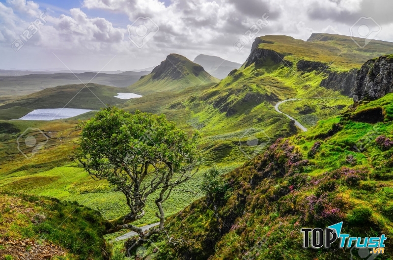 Cao nguyên Scottish