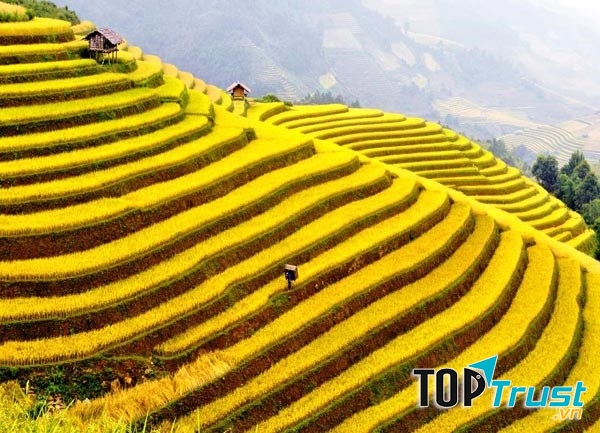 Vẻ đẹp của ruộng bậc thang nơi đây