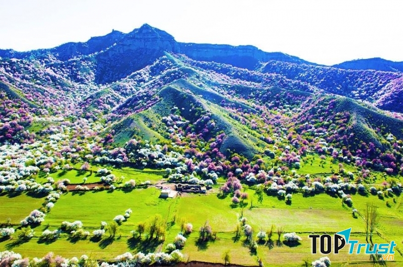 Cao nguyên Yili tại Tân Cương (Trung Quốc)