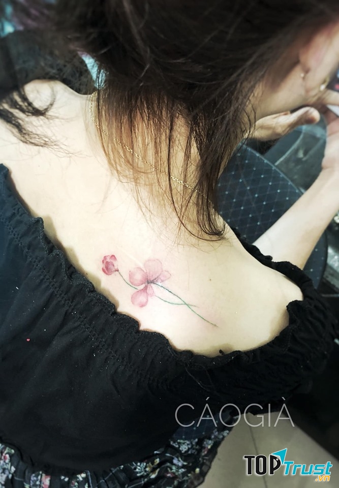 Cáo Tattoo