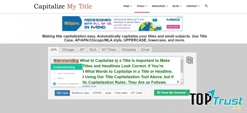 Capitalizemytitle.com