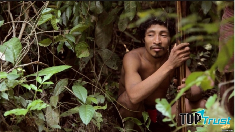 Hình ảnh bộ tộc Korowai