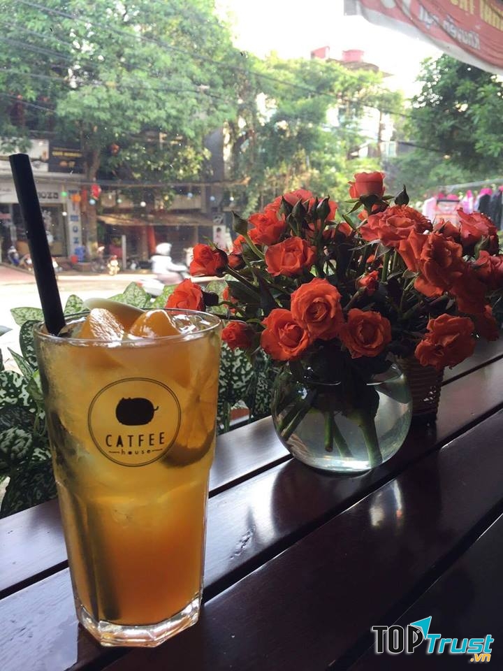 Trà đào cam sả tại Catfee House Coffee