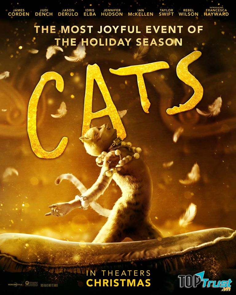 Cats: Những Chú Mèo
