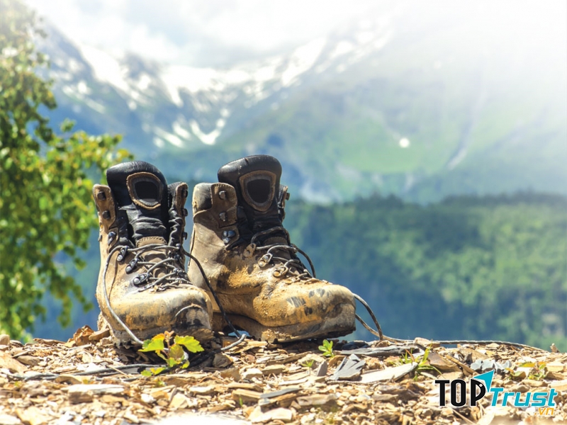 Ảnh minh họa (Nguồn Internet)