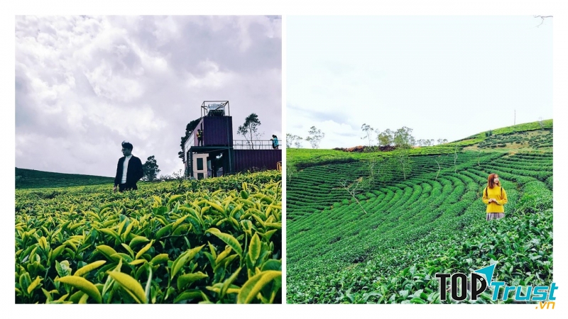 ﻿Cầu Đất Farm Coffee