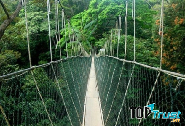 Cầu đi bộ ở vườn quốc gia Taman