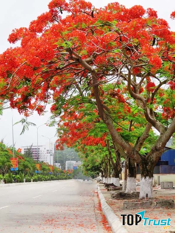 Ảnh minh họa (Nguồn: Internet)