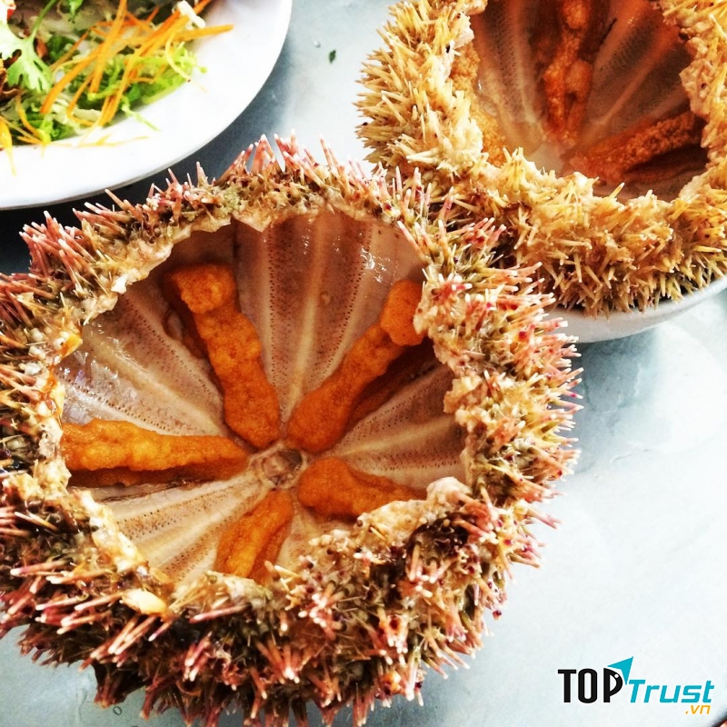 Cầu Gai Đảo Cô Tô
