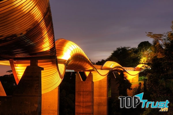 Cầu Henderson, Singapore với hệ thống đèn Led độc đáo