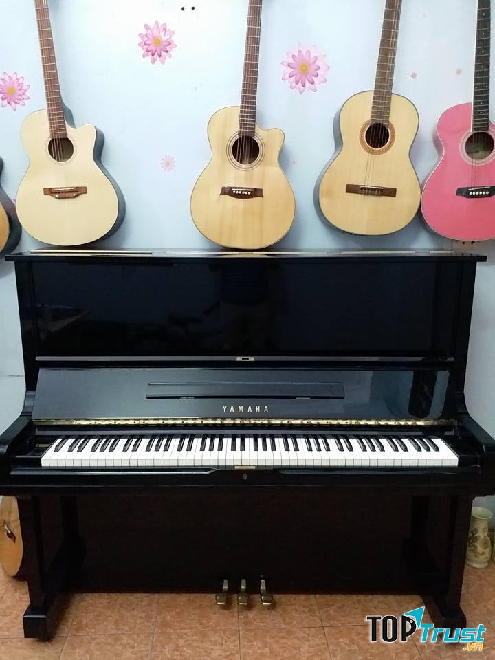 Câu Lạc Bộ Guitar Cổ điển Hà Nội