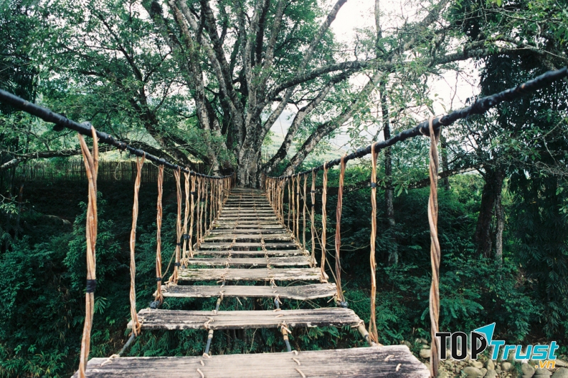 Cầu mây mê hoặc lòng người