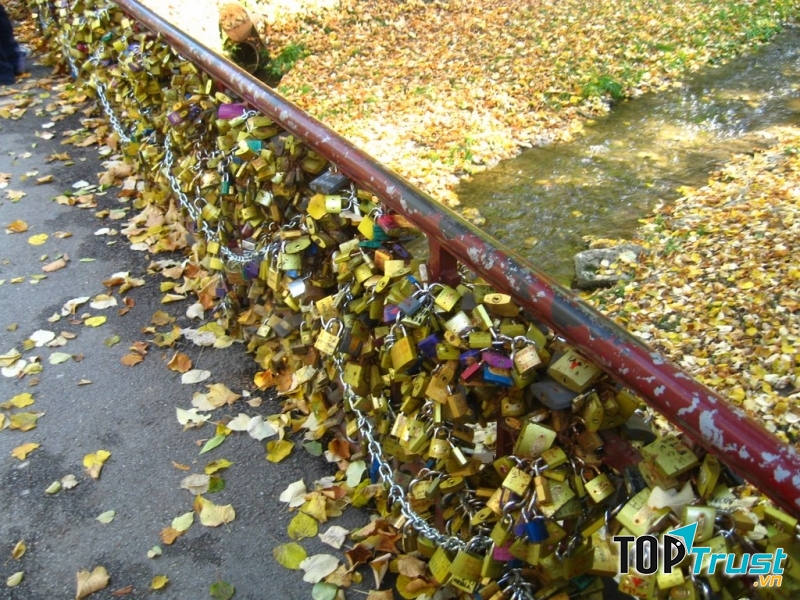 Mùa thu cây cầu trở nên lãng mạn hơn bởi sắc vàng của lá